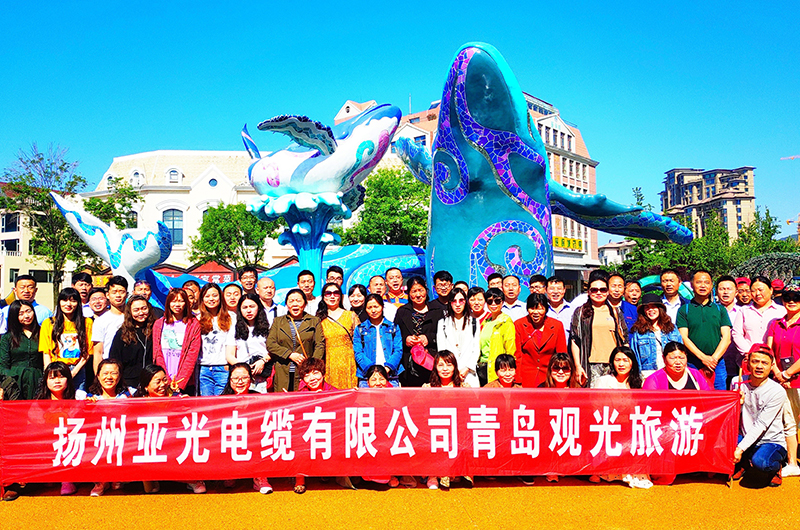 شرکت کابل یانگژو یاگوانگ با مسئولیت محدود