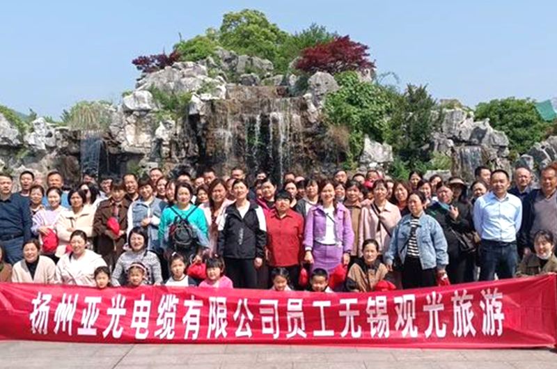 شرکت کابل یانگژو یاگوانگ با مسئولیت محدود