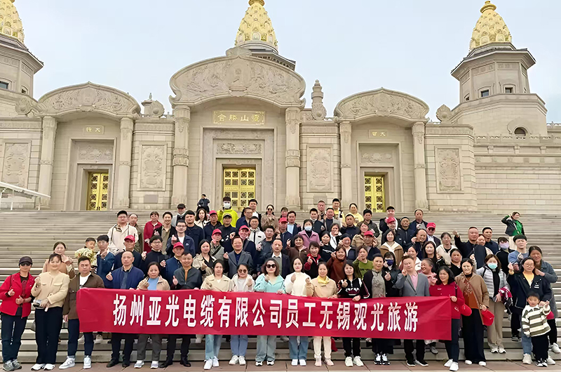 شرکت کابل یانگژو یاگوانگ با مسئولیت محدود