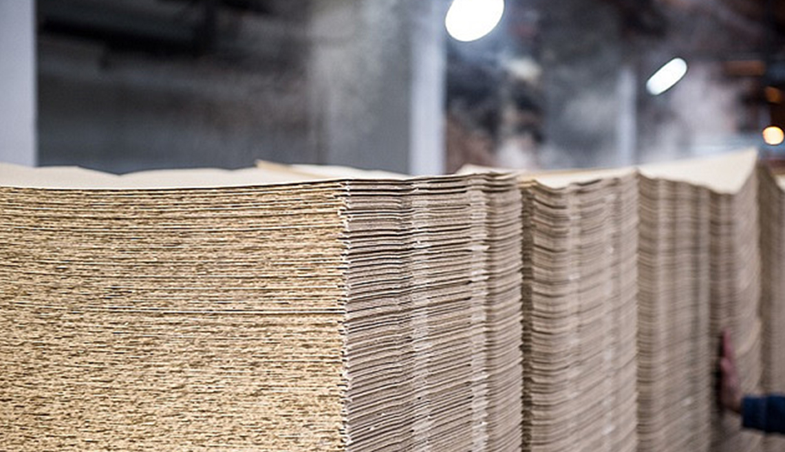 پروژه پالپ شاندونگ ریژائو